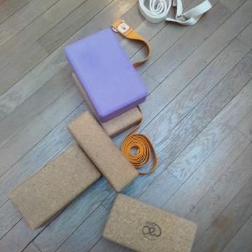 Pratique de Hatha-Yoga